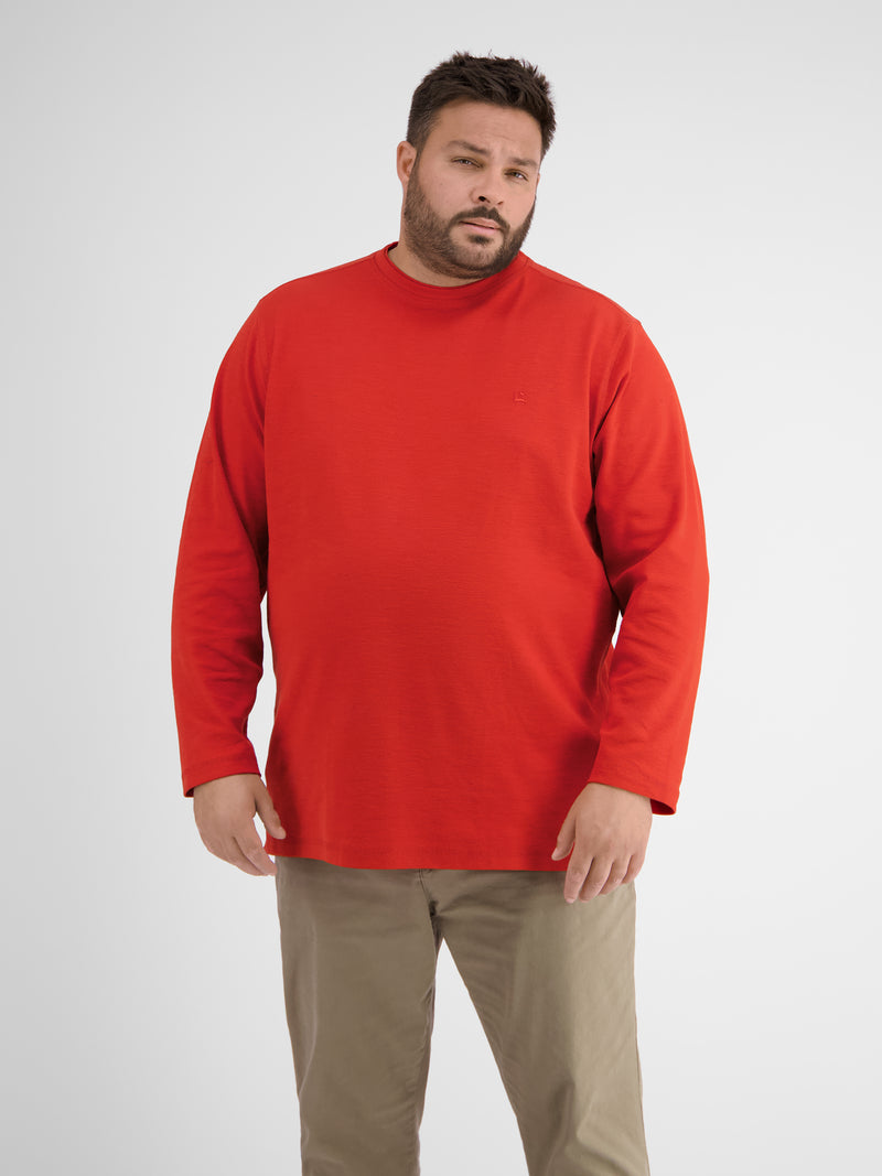 Longsleeve. Structure - LERROS