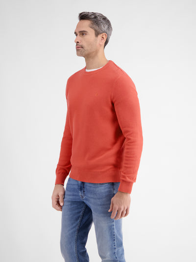 Crewneck knit sweater for men