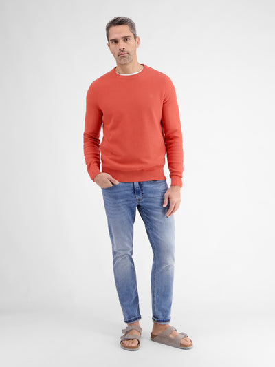 Crewneck knit sweater for men