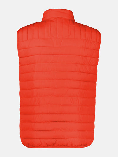 Men's quilted vest, lightly lined