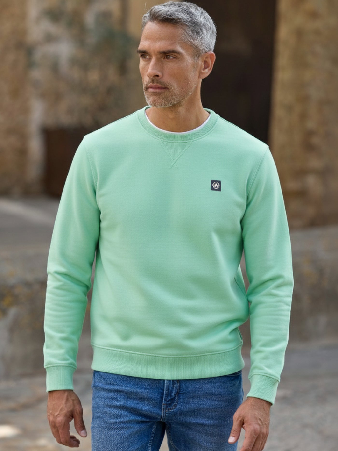 Sweatshirt aus Baumwollmix, O-Neck - Sweatshirt