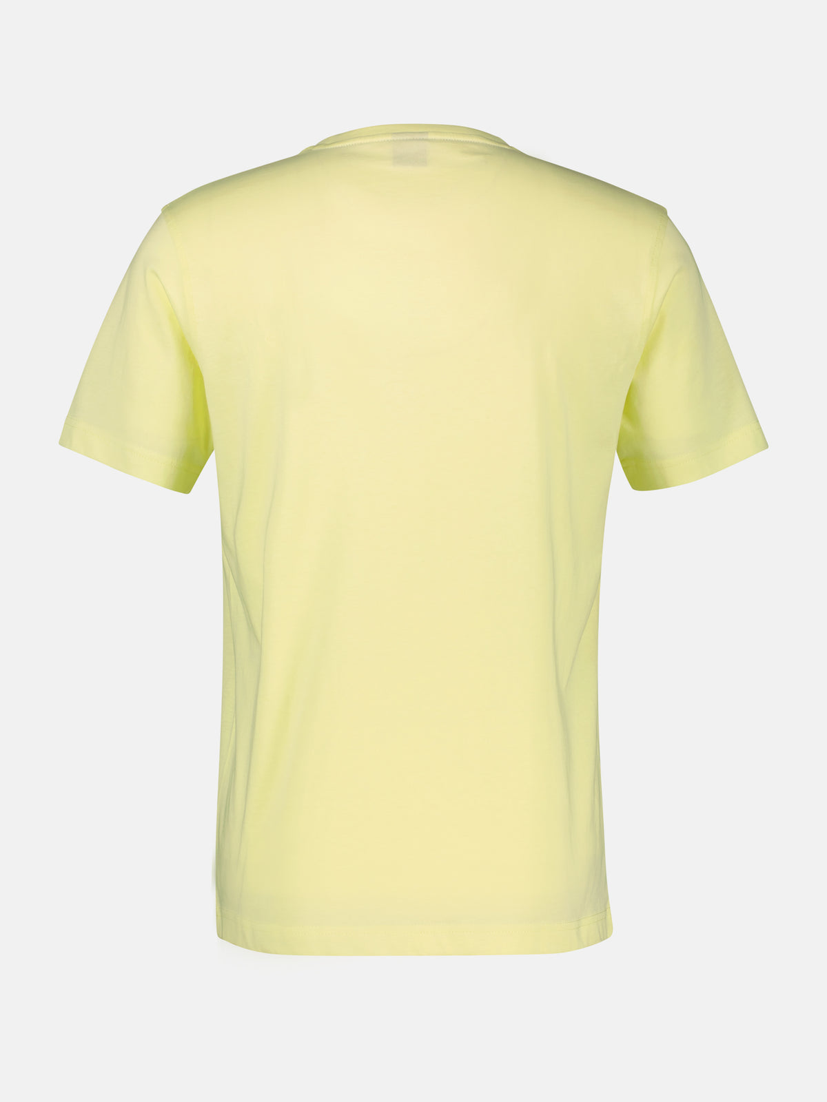 T-Shirt mit Rundkragen aus weicher Baumwolle, große Größen - T-Shirt Rundhals