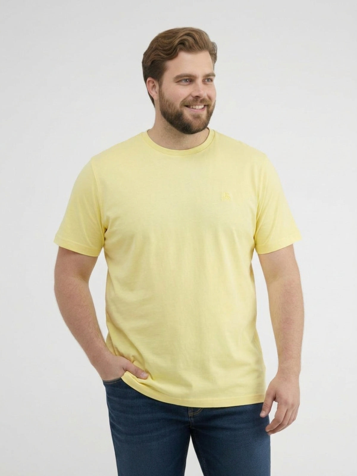 T-Shirt mit Rundkragen aus weicher Baumwolle, große Größen - T-Shirt Rundhals
