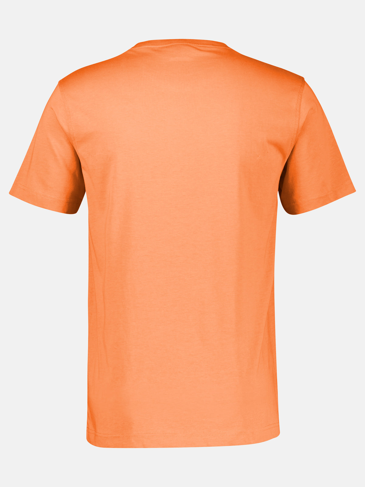 T-Shirt mit Rundkragen aus weicher Baumwolle, große Größen - T-Shirt Rundhals