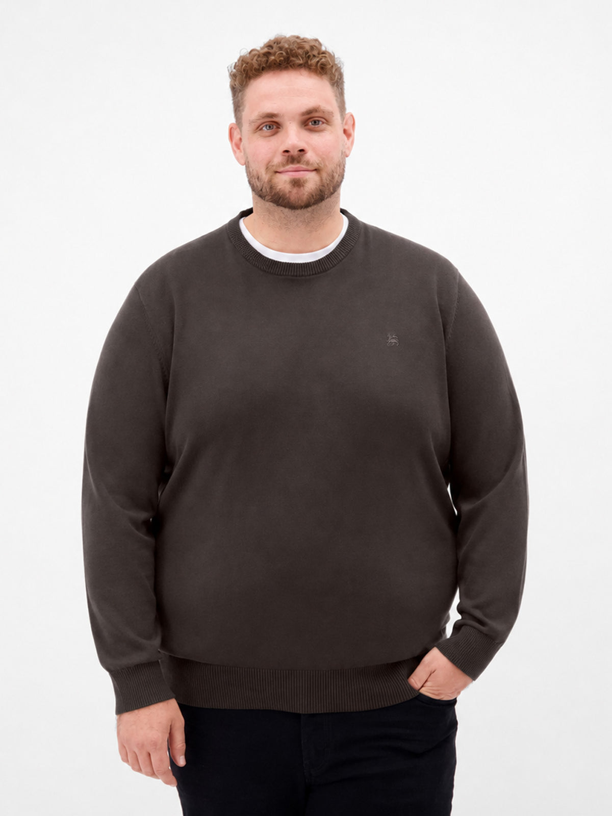 Strickpullover aus reiner Baumwolle, große Größen