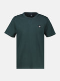 CEDAR GREEN