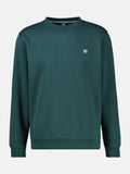CEDAR GREEN