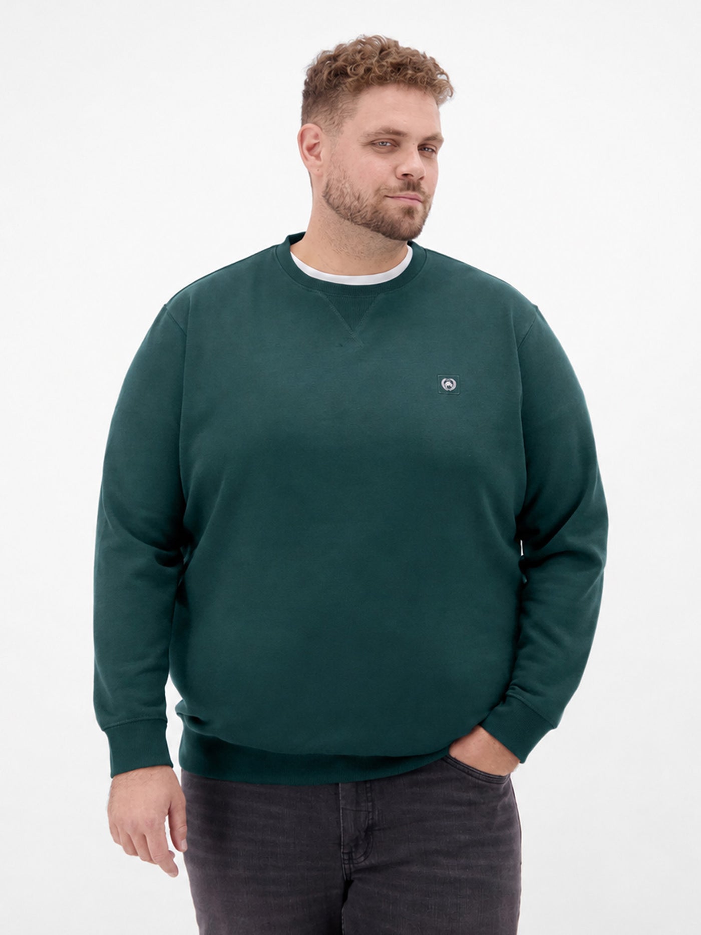 Men's Plus Size Cotton Blend Crew Neck Sweatshirt