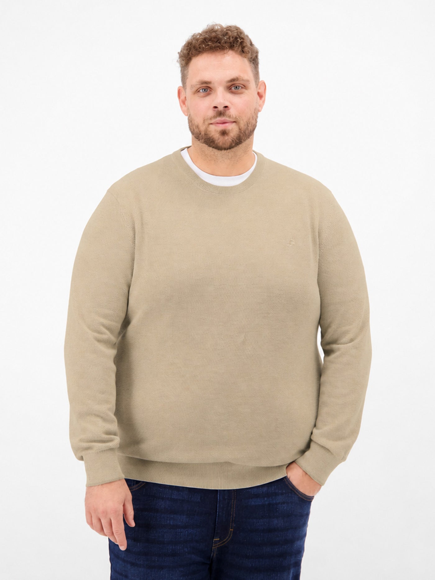 Cotton two-tone knit sweater, plus sizes