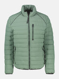 BASIL GREEN