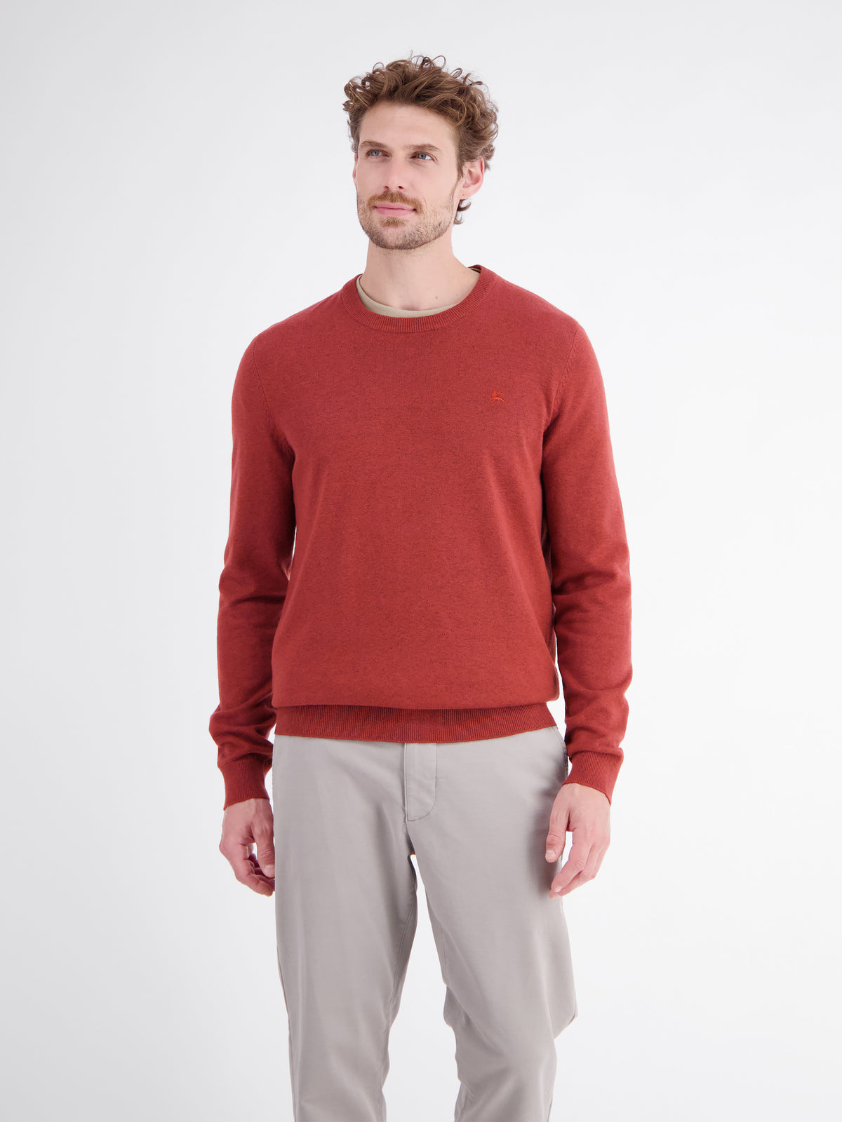 Strickpullover aus weichem Baumwollmix mit softer Haptik - Rundhalspullover