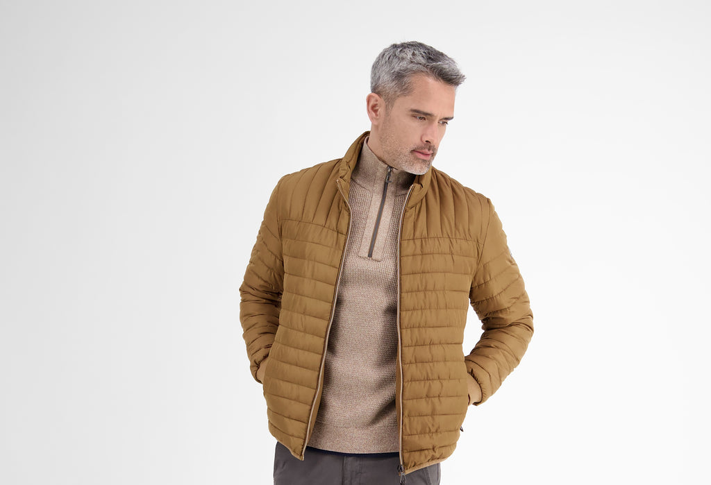 Dynamic Section Image