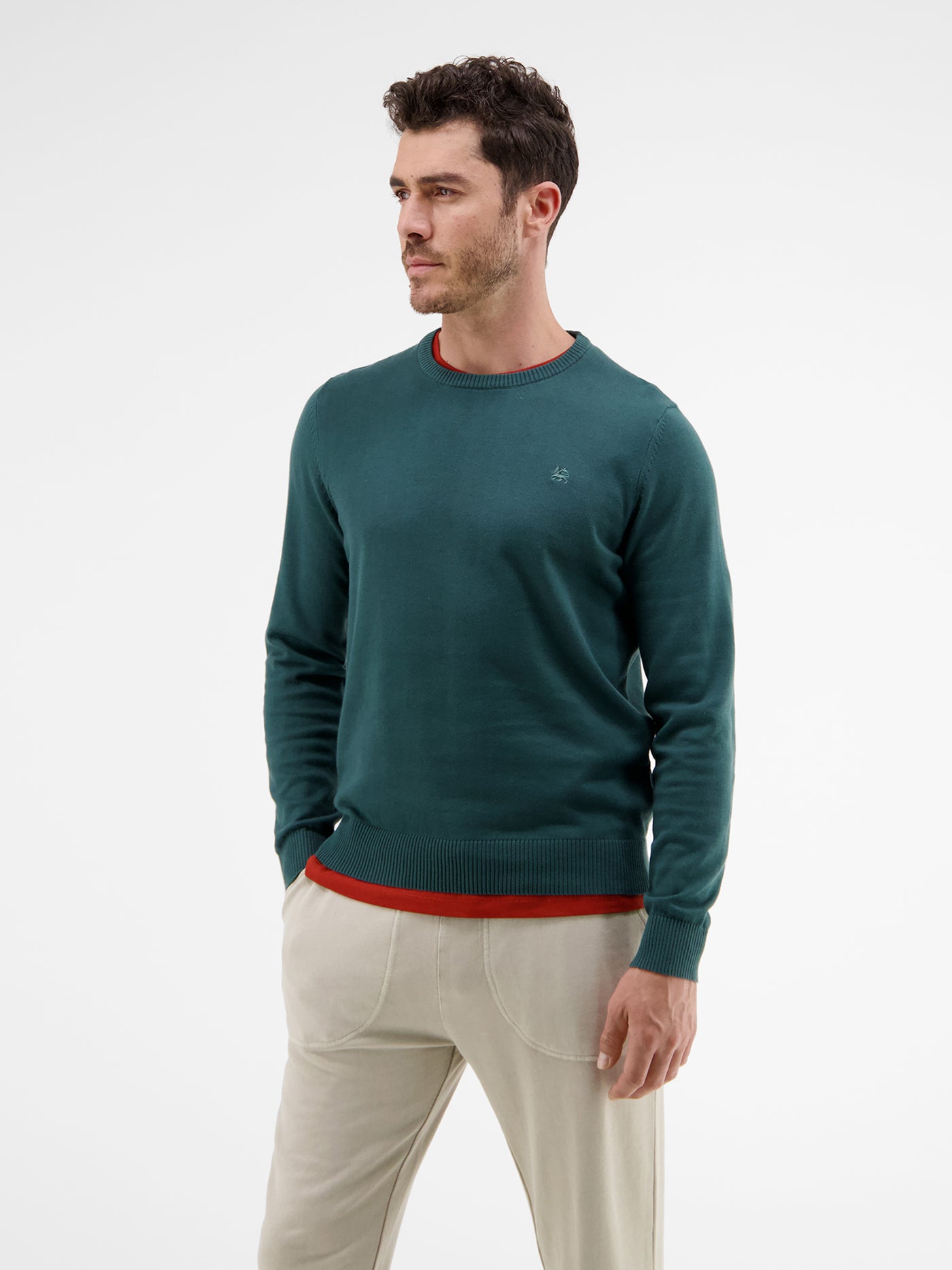 Basic knit sweater